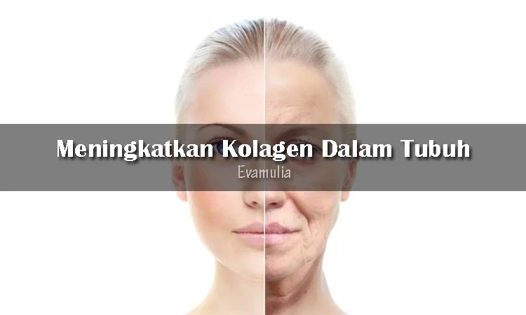 Cara Tubuh Memproduksi Kolagen dan Nutrisi Penting untuk Kulit Sehat