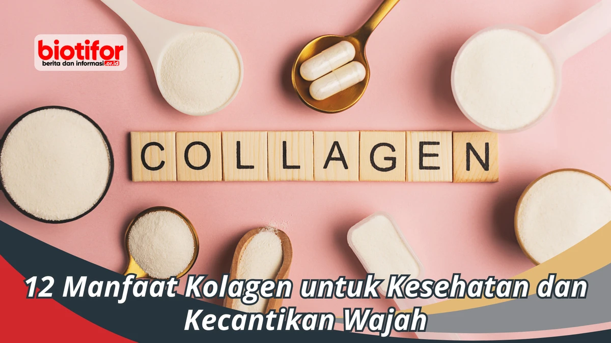 cara-meningkatkan-produksi-kolagen-secara-alami-da - Manfaat Prosedur Kecantikan Kolagen untuk Kulit Awet Muda