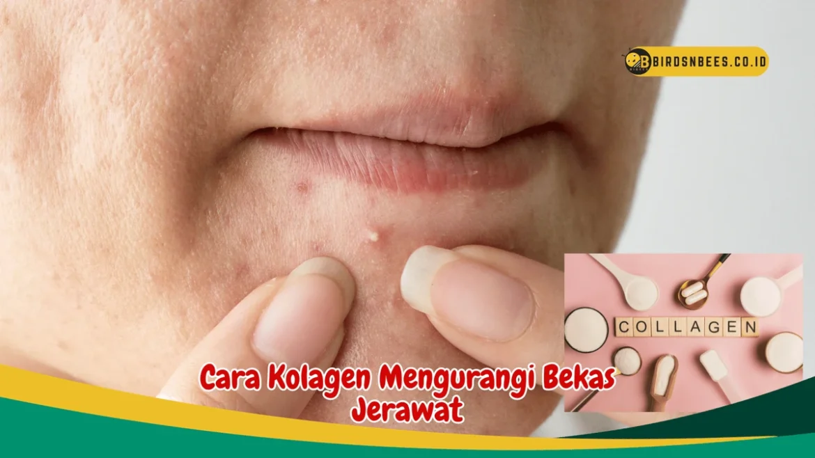 Cara Penggunaan Kolagen dalam Perawatan Kulit yang Efektif
