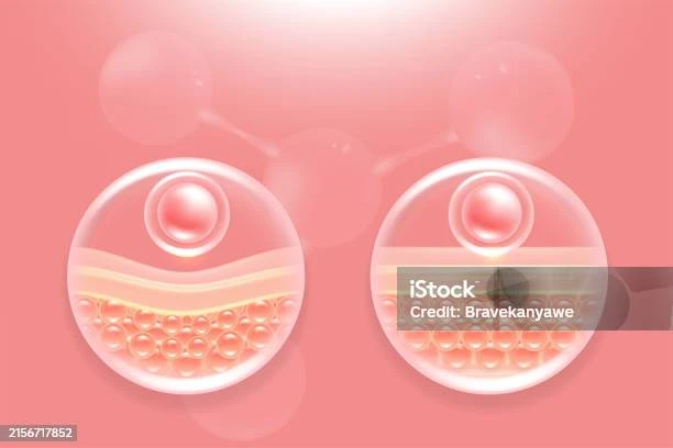 Cara Transformasi Kulit dengan Kolagen: Manfaat dan Panduan Lengkap