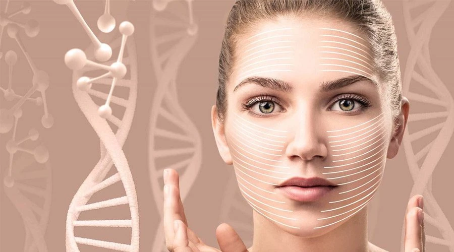 faktor-yang-mempengaruhi-efektivitas-kolagen - Cara Transformasi Kulit dengan Kolagen: Manfaat dan Panduan Lengkap
