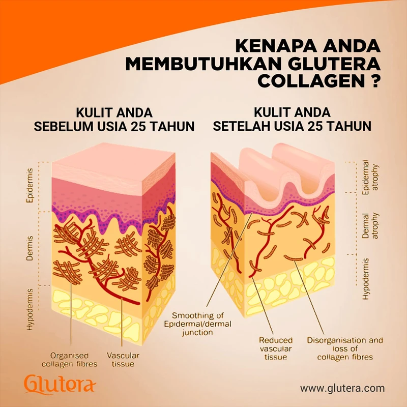 faq-pertanyaan-yang-sering-diajukan - Cara Meningkatkan Produksi Kolagen Tubuh Secara Alami