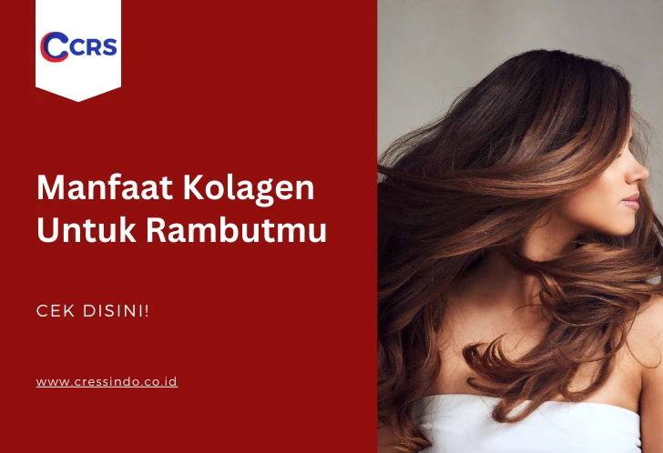 kesimpulan-dan-implikasi - Manfaat Kolagen dalam Perawatan Rambut: Rahasia Rambut Sehat