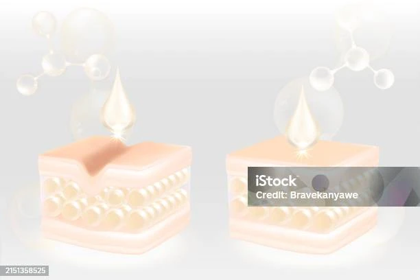 kesimpulan-dan-rekomendasi - Cara Transformasi Kulit dengan Kolagen: Manfaat dan Panduan Lengkap