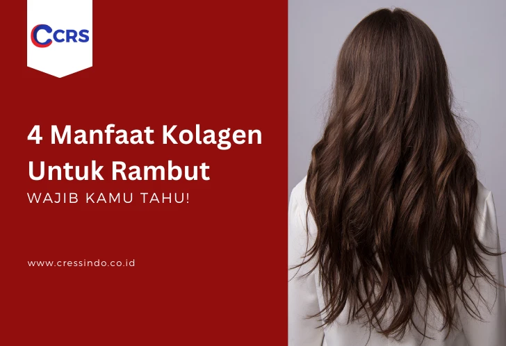 alternatif-metode-perawatan-kolagen-untuk-rambut - Cara Penggunaan Kolagen untuk Rambut agar Kuat dan Sehat