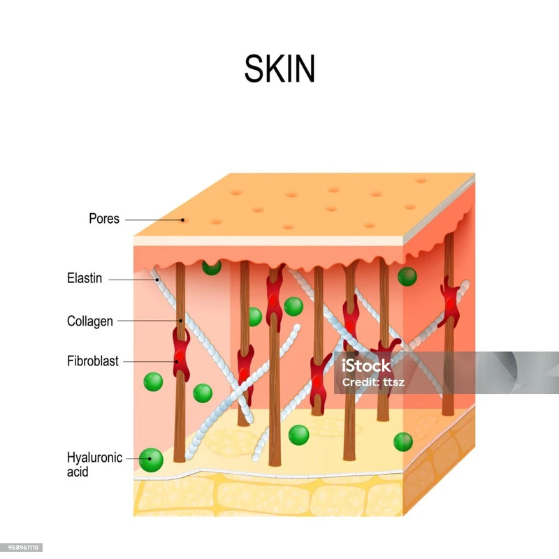 Cara Menjaga Elastisitas Kulit dengan Kolagen Terbukti