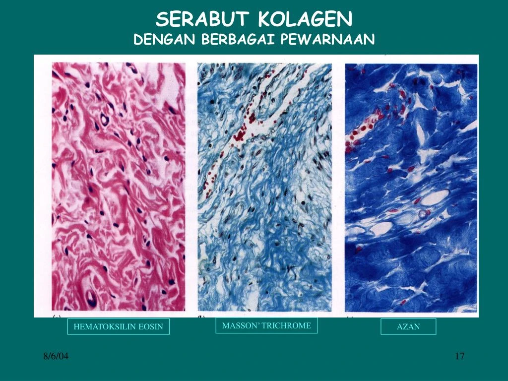 dukungan-nutrisi-dan-gaya-hidup-untuk-optimalisasi - Bagaimana Kolagen Mempercepat Proses Pemulihan Jaringan Tubuh