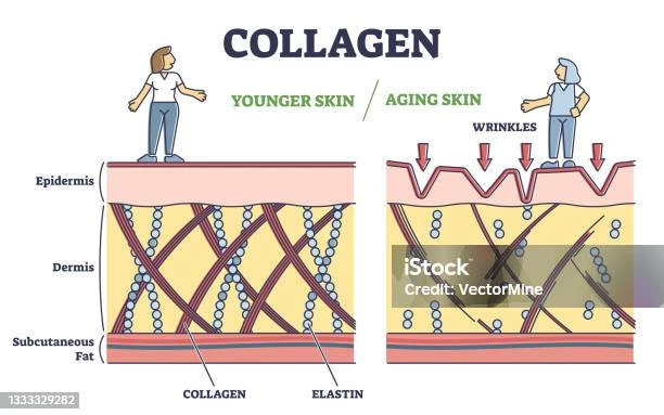 faq-tentang-kolagen-dan-kesehatan-sendi - Manfaat Kolagen untuk Sendi: Kurangi Nyeri & Tingkatkan Fleksibilitas