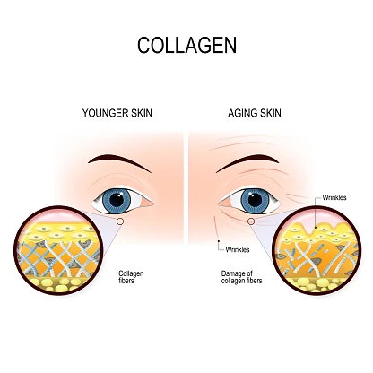 kesimpulan-dan-langkah-selanjutnya-untuk-menjaga-k - Efek Kerusakan Kolagen pada Kulit dan Cara Mencegahnya
