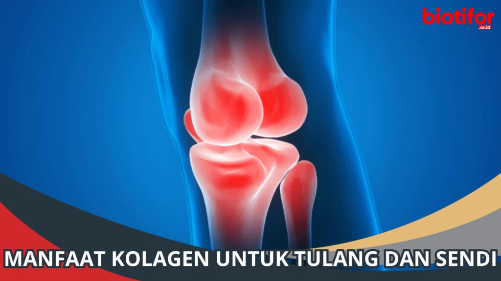 kesimpulan-dan-rekomendasi-penggunaan-kolagen-untu - Manfaat Kolagen untuk Sendi: Kurangi Nyeri & Tingkatkan Fleksibilitas