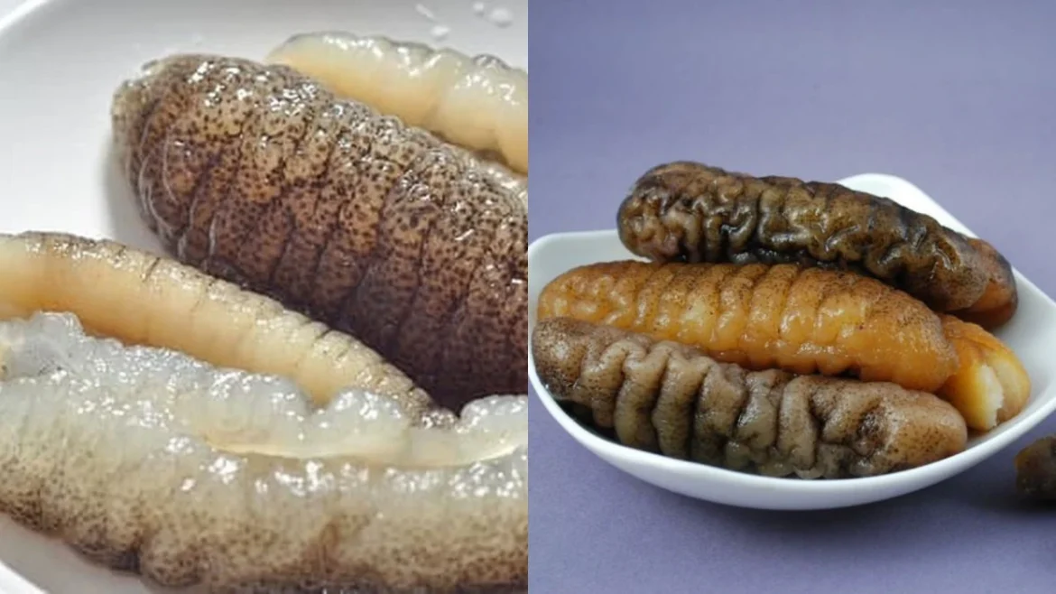 Manfaat Kolagen dari Makanan Laut untuk Kulit dan Sendi Sehat