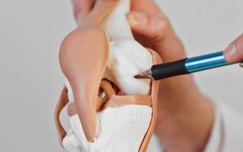 bukti-ilmiah-dan-studi-kasus-mengenai-kolagen-dan - Kolagen Berfungsi untuk Kesehatan Sendi: Manfaat & Cara Optimal