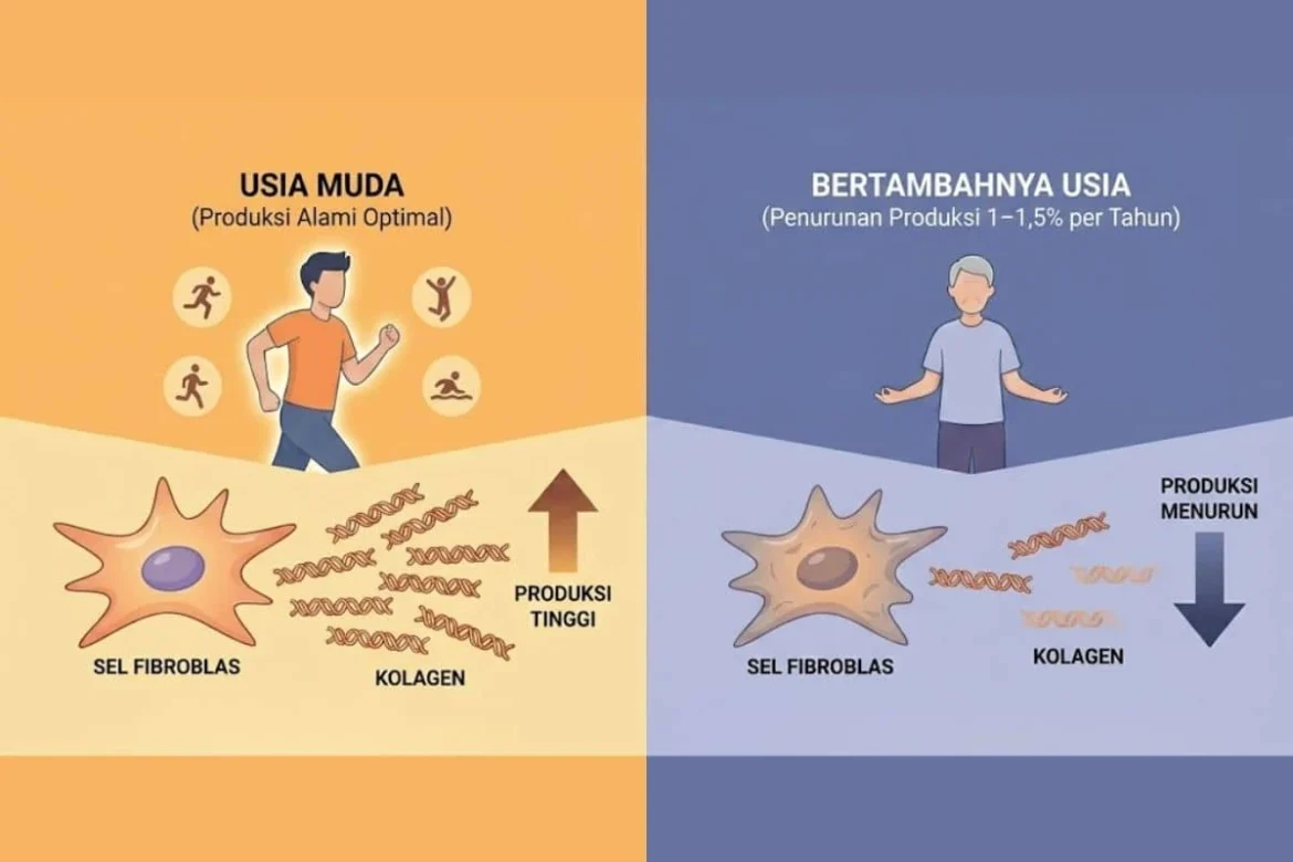 Faktor yang Mempengaruhi Produksi Kolagen dan Cara Menjaganya