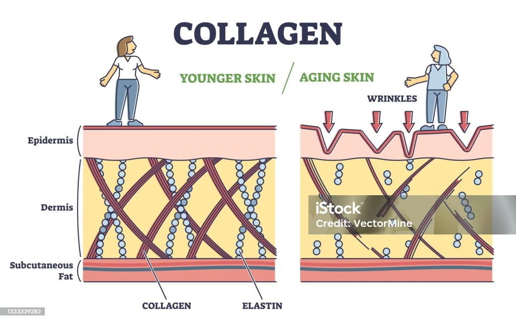 faq-tentang-kolagen-dan-kulit-berminyak - Cara Efektif Merawat Kulit Berminyak dengan Kolagen Alami