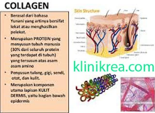 implikasi-praktis-dan-rekomendasi-penggunaan-kolag - Manfaat Kolagen Tipe II untuk Redakan Nyeri Arthritis