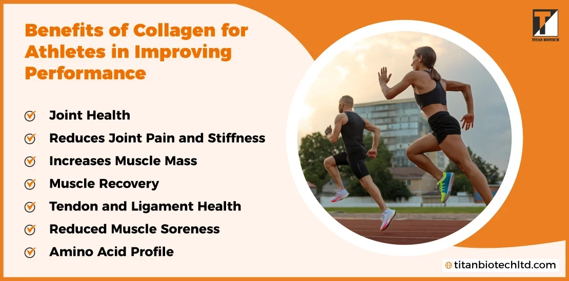 kesimpulan-dan-implikasi-praktis-untuk-atlet - Manfaat Kolagen untuk Atlet Cedera: Pemulihan & Performa Optimal