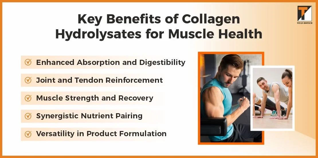 kesimpulan-dan-langkah-selanjutnya-bagi-atlet - Manfaat Kolagen untuk Otot Atlet: Panduan Lengkap Pemulihan & Kekuatan