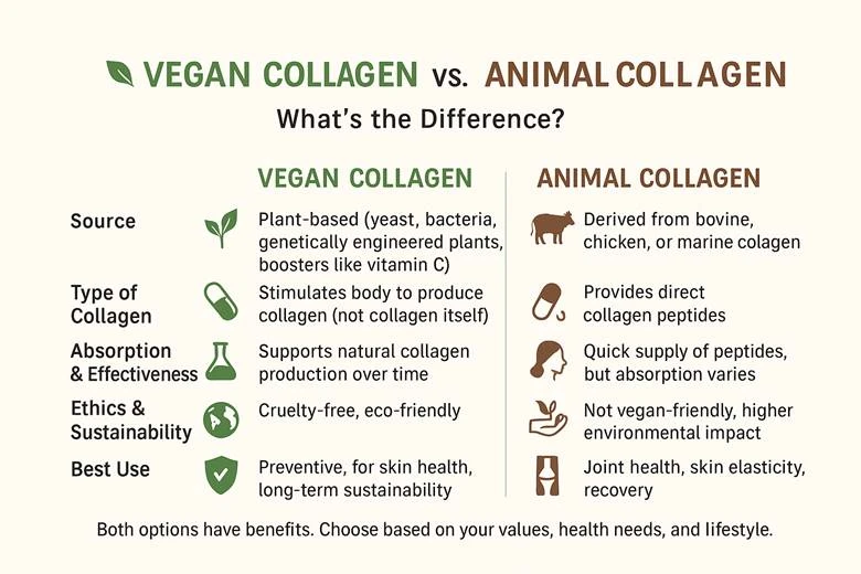 kesimpulan-dan-rekomendasi-memilih-kolagen-yang-te - Perbedaan Kolagen Hewani dan Nabati untuk Kulit Sehat