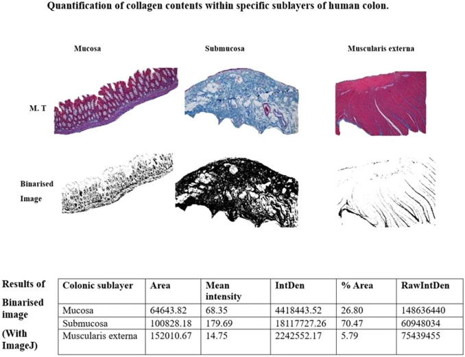 rekomendasi-dan-kesimpulan - Cara Evaluasi Hasil Prosedur Kolagen untuk Skar Akne Aman