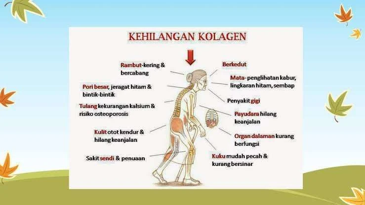 Apakah Kekurangan Kolagen Berbahaya? Fakta dan Cara Mengatasinya
