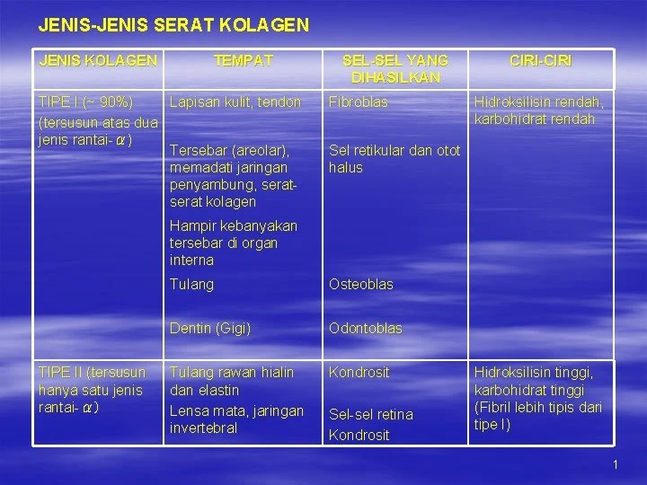 faq-mengenai-kolagen-dan-kesehatan-otot - Perbandingan Jenis Kolagen untuk Otot dan Manfaatnya