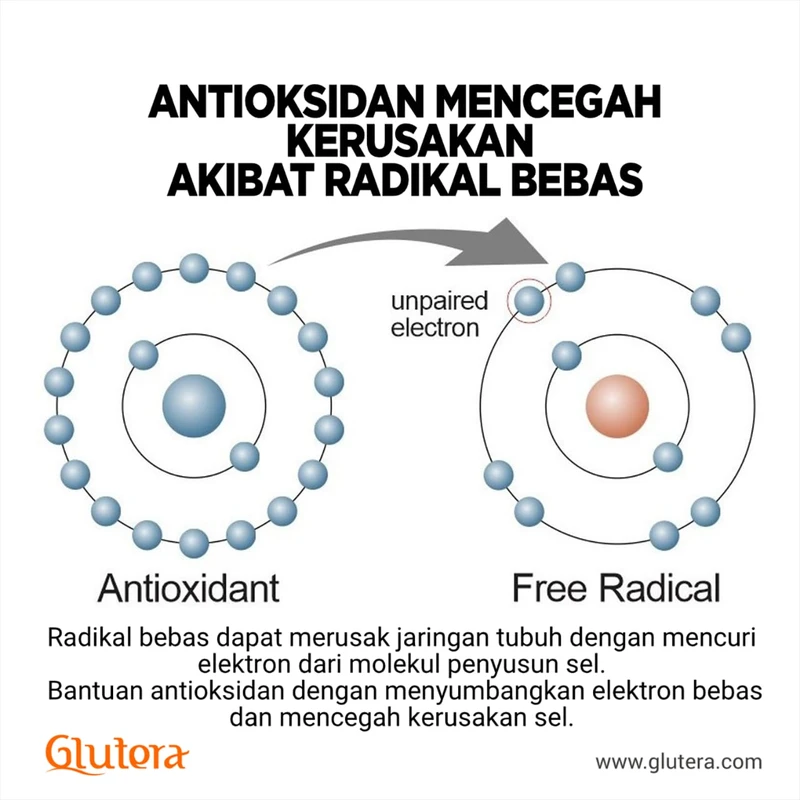 implikasi-dan-rekomendasi-untuk-pencegahan-kerusak - Cara Radikal Bebas Merusak Kolagen dan Solusi Antioksidan