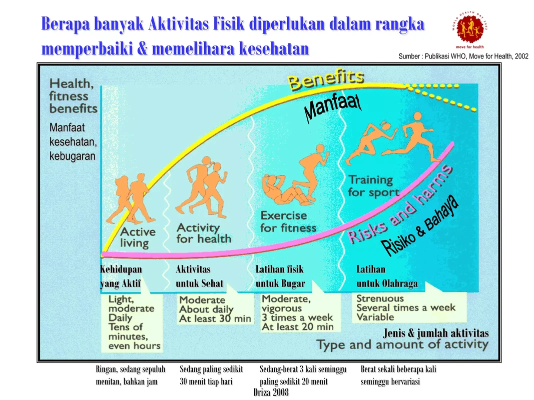 kesimpulan-dan-rekomendasi-praktis-untuk-menjaga-p - Cara Aktivitas Fisik Meningkatkan Produksi Kolagen Kulit