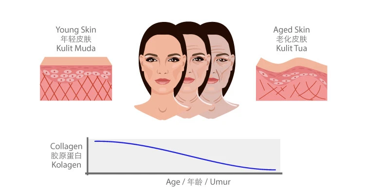 Peran Kolagen vs Hyaluronic Acid untuk Kulit Sehat dan Muda