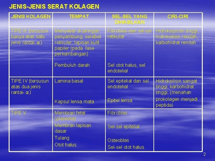 Perbandingan Jenis Kolagen untuk Otot dan Manfaatnya