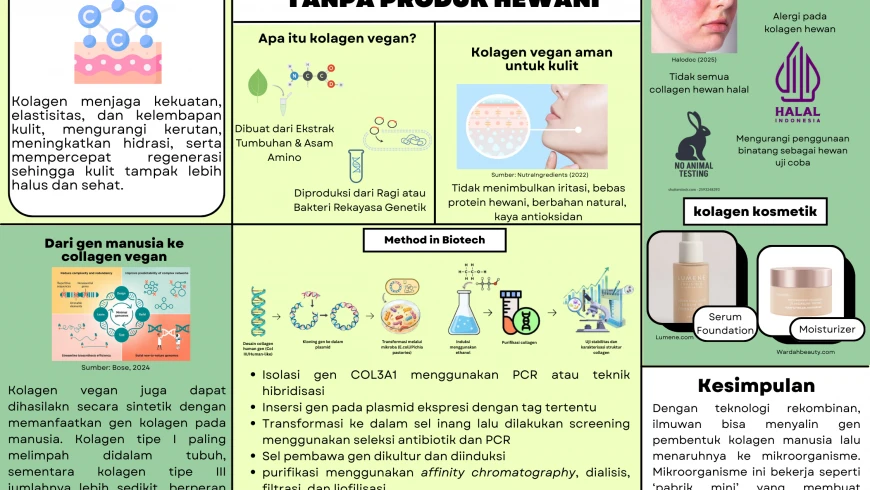Perbandingan Kolagen Vegan vs Hewani: Mana Lebih Efektif?